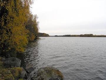 Фото номера Дом для отпуска Дома для отпуска Holiday Home Kalliorinne г. Pyhäjärvi 54