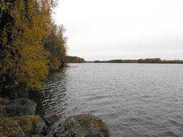 Фото номера Дом для отпуска Дома для отпуска Holiday Home Kalliorinne г. Pyhäjärvi 26
